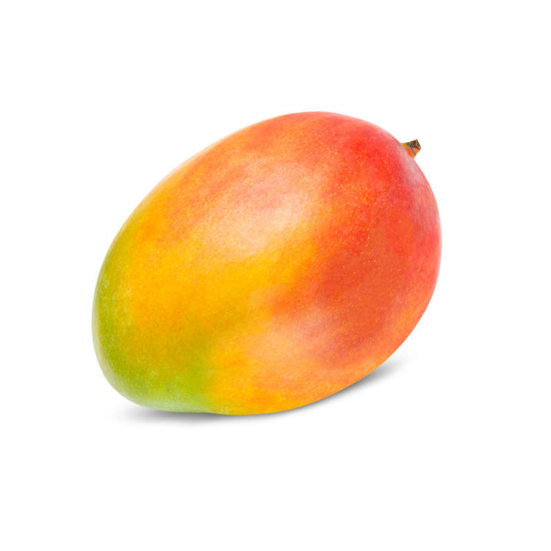 Mangue Avion Calibre 12 x1 Mangue Avion Calibre 12 x1