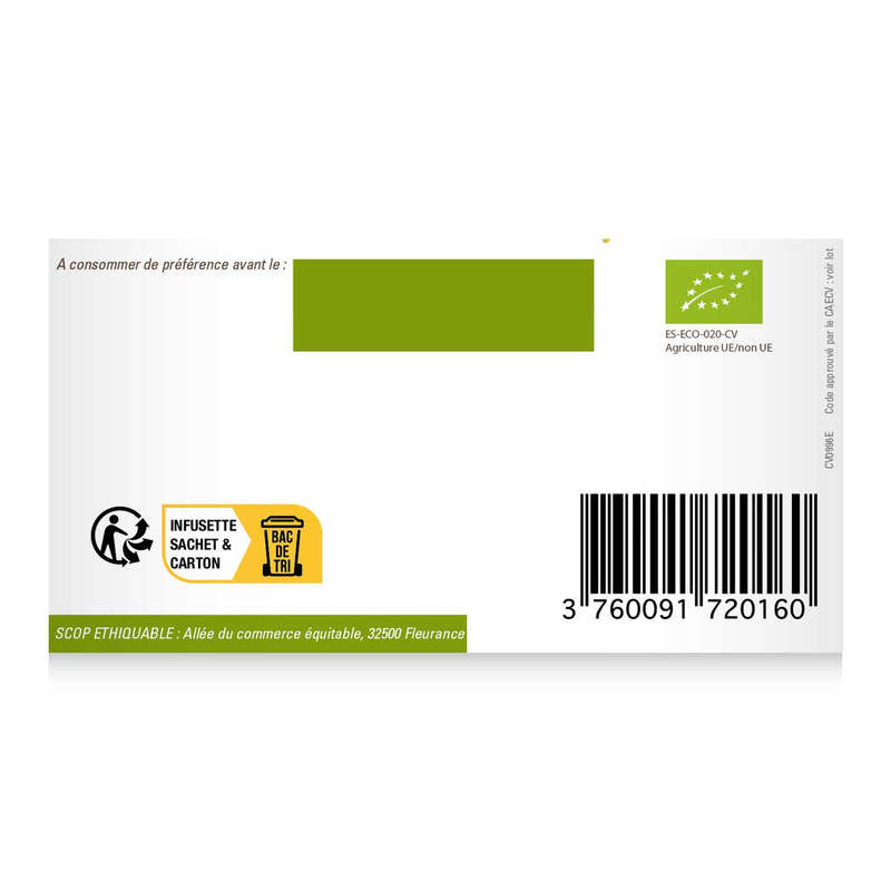 Ethiquable Organic Green Tea Ginger Lime 36G