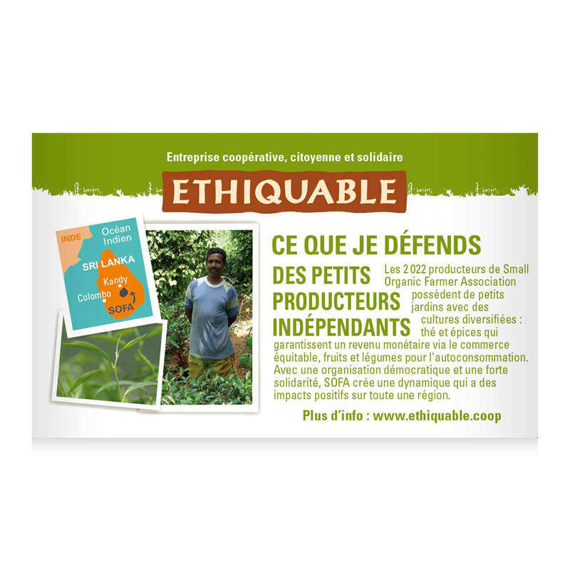 Ethiquable Organic Green Tea Ginger Lime 36G