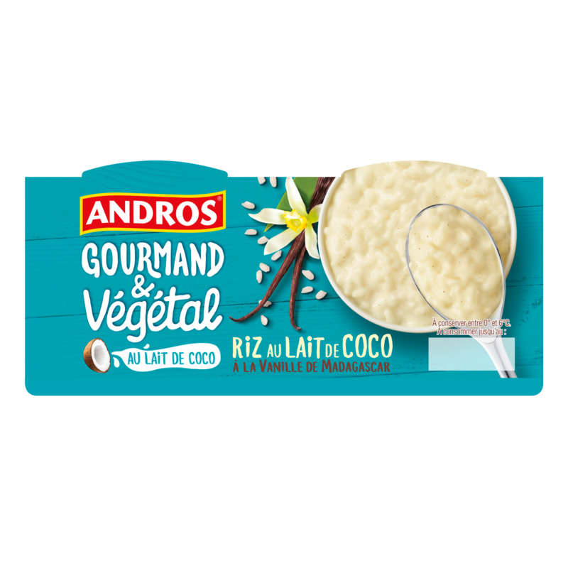 Andros Rice Pudding Coconut Milk Vanilla Vegetal 400G