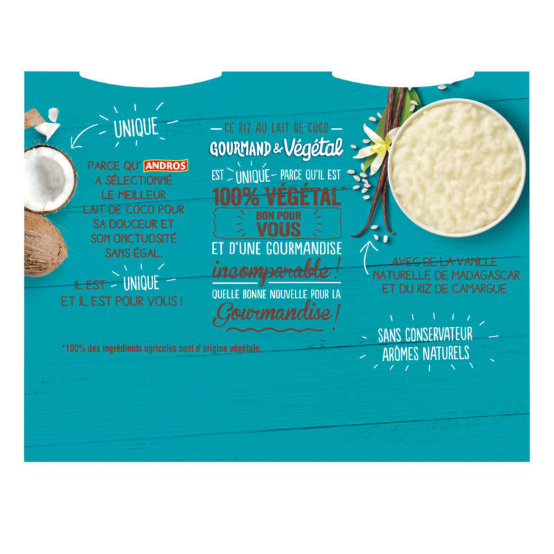 Andros Rice Pudding Coconut Milk Vanilla Vegetal 400G