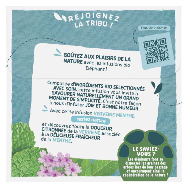 Elephant Infusion Organic Verbena Mint x20
