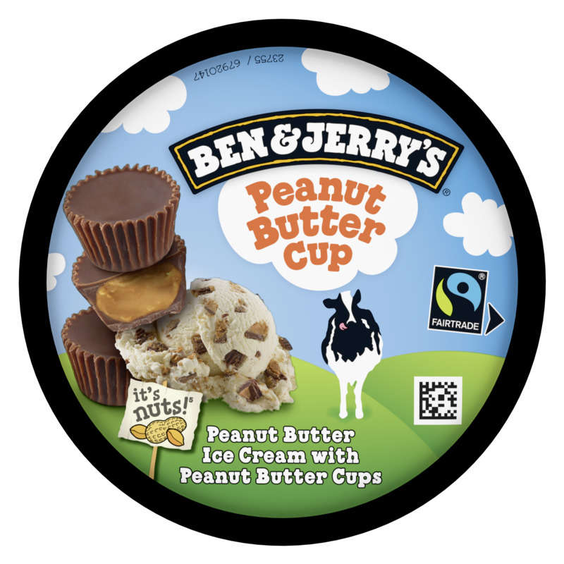 Ben & Jerry's Ice Cream Jar Peanut Butter Cup 465ml