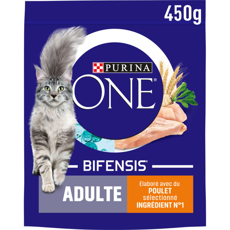 Purina One Croquettes Chat adulte au poulet et céréales 450g